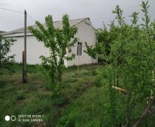 Satılır Bağ evi Lerik ş.