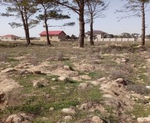 Satılır Torpaq Ramana qəs., Sabunçu r.