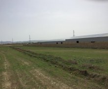 sarayda torpaq satilir Saray, Abşeron r.