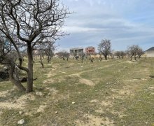 rayonlarda torpaq alqi satqisi Abşeron r.