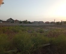 mastagada torpaq alqi satqisi Koroğlu m., Maştağa qəs., Sabunçu r.