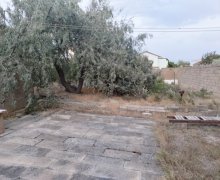 Satılır Bağ evi Türkan, Xəzər r.