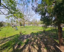 Satılır Torpaq Qəbələ ş.