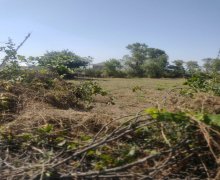 Satılır Torpaq Qəbələ ş.