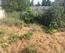 rayonlarda torpaq alqi satqisi Goradil, Abşeron r.