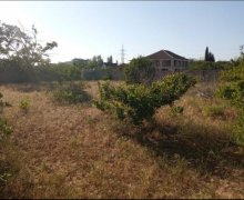 buzovnada torpaq satilir Buzovna, Xəzər r.