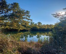 xacmazda torpaq alqi satqisi Xaçmaz ş.