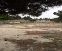 Satılır Torpaq Avtovağzal m., Biləcəri qəs., Binəqədi r.