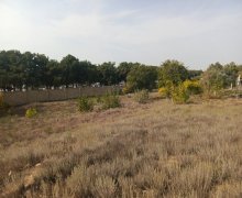 Satılır Torpaq Saray, Abşeron r.