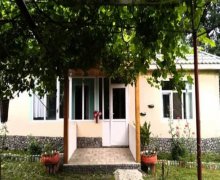 Kirayə (günlük) Həyət evi/villa Qəbələ ş. Kirayə (günlük) Həyət evi/villa Qəbələ ş.