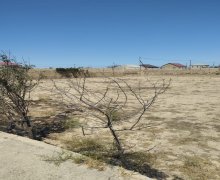 Satılır Torpaq Türkan, Xəzər r.