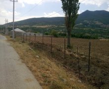 elanlari alqi satqisi elanlari Siyazən ş.