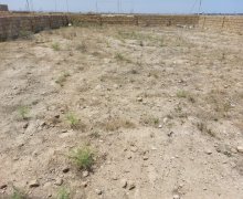 Satılır Torpaq Saray, Abşeron r.