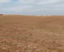 Satılır Torpaq Qobu, Abşeron r.