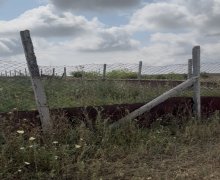 Satılır Torpaq Şamaxı ş.