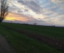 xacmazda torpaq alqi satqisi Xaçmaz ş.