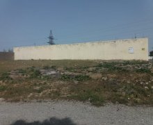 sarayda torpaq satilir Saray, Abşeron r. sarayda torpaq satilir Saray, Abşeron r.