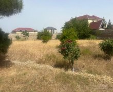 mastagada torpaq alqi satqisi Koroğlu m., Maştağa qəs., Sabunçu r.