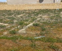 rayonlarda torpaq alqi satqisi Qobu, Abşeron r.