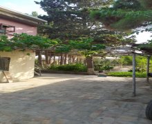 Kirayə (günlük) Bağ evi Nardaran qəs., Sabunçu r. Kirayə (günlük) Bağ evi Nardaran qəs., Sabunçu r.