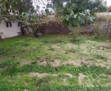 Satılır Torpaq Suraxanı qəs., Suraxanı r.