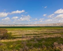 elanlari alqi satqisi elanlari Hacıqabul ş.