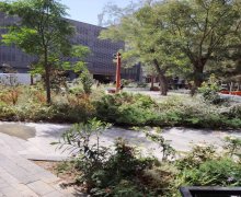 Kirayə (aylıq) Ofis Sahil m., Səbail r.