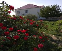 sumqayitda heyet evlerinin satisi/villa Sumqayıt ş.