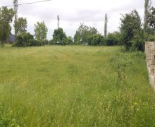 ismayillida torpaq alqi satqisi İsmayıllı ş.