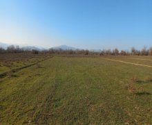 Satılır Torpaq Saray, Abşeron r.