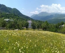 Satılır Torpaq Qəbələ ş.