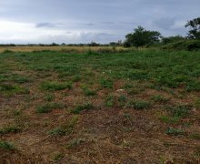 xacmazda torpaq alqi satqisi Xaçmaz ş.