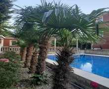 Продажа Дача Абшерон р.