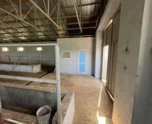 ismayillida torpaq alqi satqisi İsmayıllı ş.