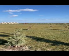 qurd deresi torpaq alqi satqisi Sumqayıt ş.