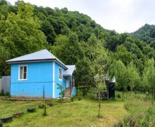 Kirayə (günlük) Həyət evi/villa Qəbələ ş.