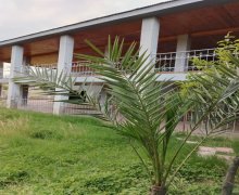 Kirayə (günlük) Bağ evi Masallı ş.