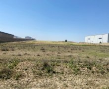 rayonlarda torpaq alqi satqisi Aşağı Güzdək, Abşeron r.