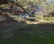 qurd deresi torpaq alqi satqisi Sumqayıt ş.