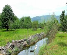 Satılır Torpaq Qəbələ ş.