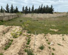 mastagada torpaq alqi satqisi Maştağa qəs., Sabunçu r.