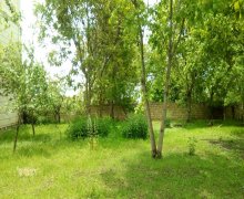 elanlari alqi satqisi elanlari Şamaxı ş.