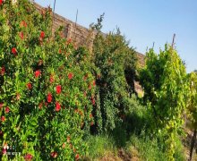 rayonlarda torpaq alqi satqisi Goradil, Abşeron r.