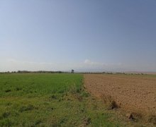 Satılır Torpaq Sabirabad ş.