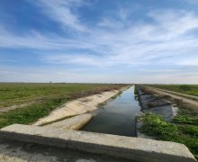 Satılır Torpaq Hacıqabul ş.