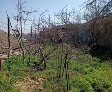 Satılır Torpaq 7-ci mikrorayon, Binəqədi r.