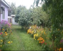 gunluk kiraye günlük Həyət evi/villa Qəbələ ş.