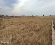 elanlari alqi satqisi elanlari Nardaran qəs., Sabunçu r.