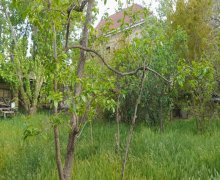 Satılır Torpaq Sumqayıt ş.