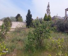 novxanida torpaq satilir Novxanı, Abşeron r.